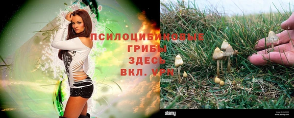 соль ск Кодинск
