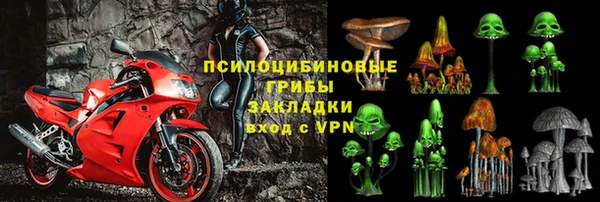 МДПВ Артём