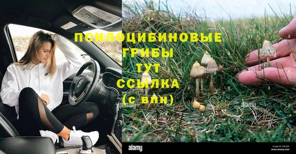 соль ск Кодинск