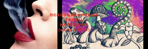 спиды Козельск