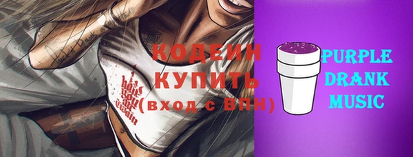 соль ск Кодинск
