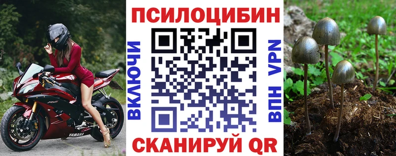 darknet какой сайт купить цена Лодейное Поле Галлюциногенные грибы ЛСД